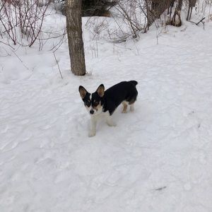 Meet your Posher, Blair